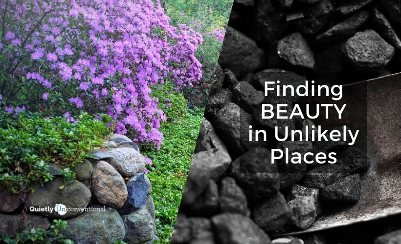 finding beauty in unlikely places: A true story