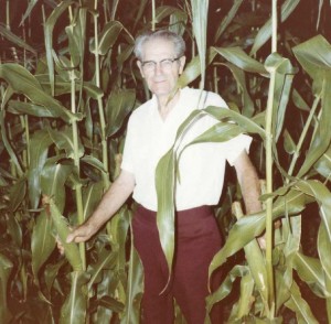 farmer and sweet corn