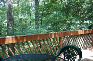 tree house deck