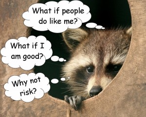 positive raccoon (800x643)