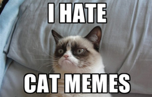 grumpy cat i hate memes