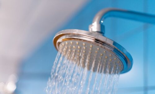 shower head