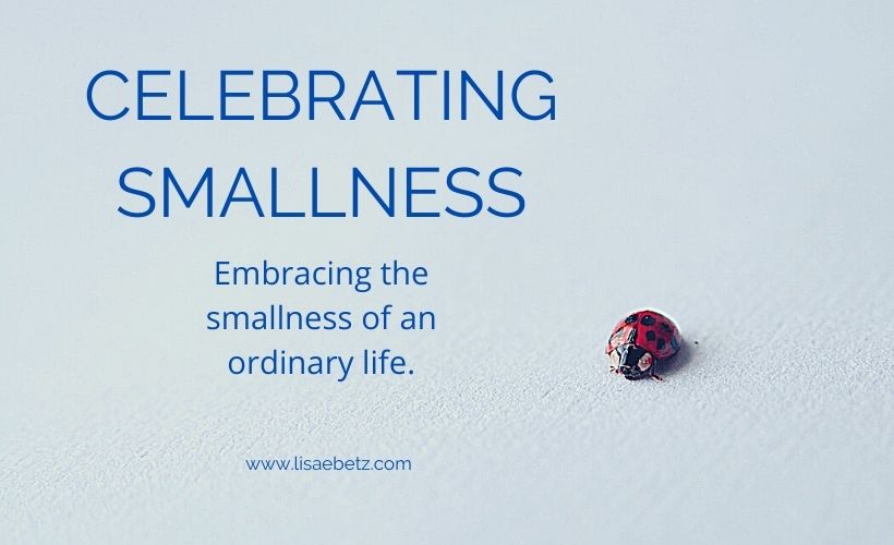 Celebrating Smallness