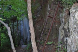 acadia trail with ladder