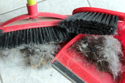 cleaning messy broom
