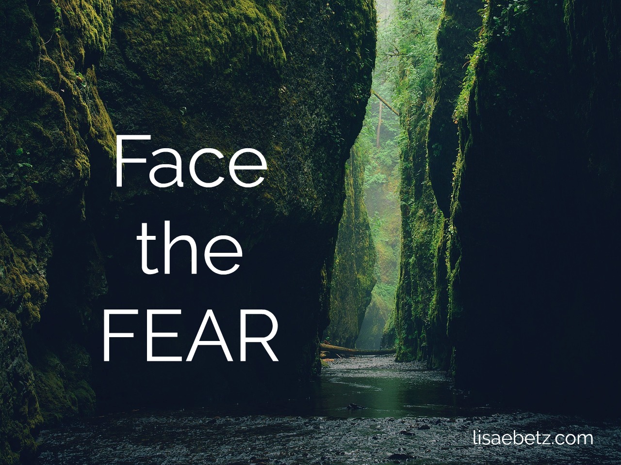 facing fear images