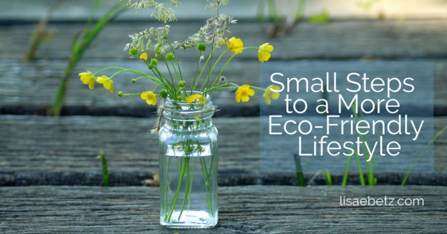 Small Steps to a More Eco-friendly Lifestyle