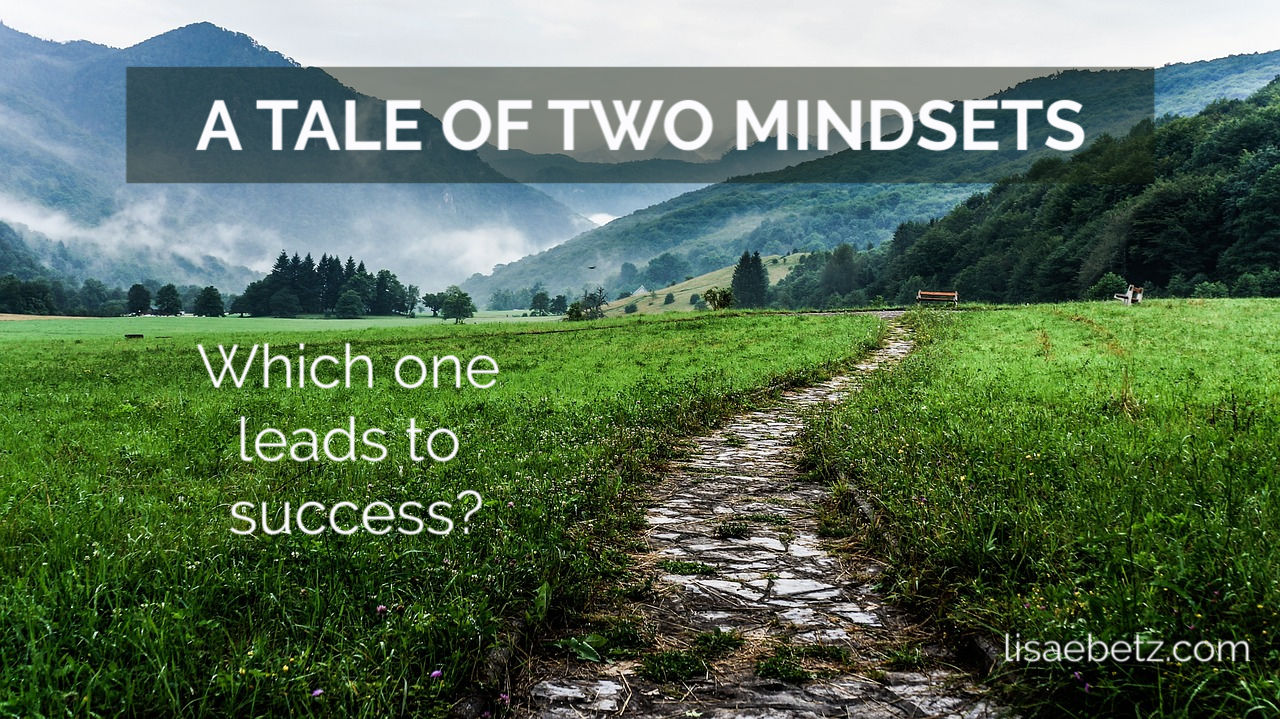 A Tale of Two Mindsets: Progress vs. Perfection