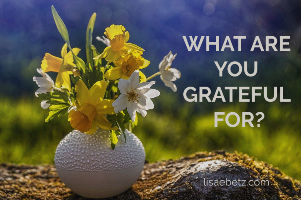 The importance of gratitude. What are you grateful for today?