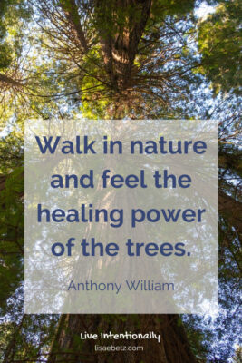 Walk in nature and feel the healing power of the trees. Anthony William quote. Live intentionally. 