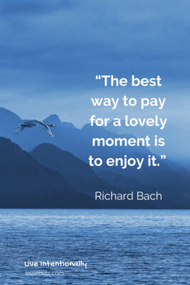 The best way to pay for a lovely moment is to enjoy it. Richard Bach quote. Live intentionally. 