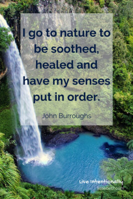 I go to nature to be soothed, healed and have my sense put in order. John Burroughs quote. Live intentionally 