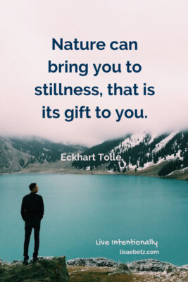Nature can bring you to stillness, that is its gift to you. Eckhart Tolle quote. Live intentionally. 