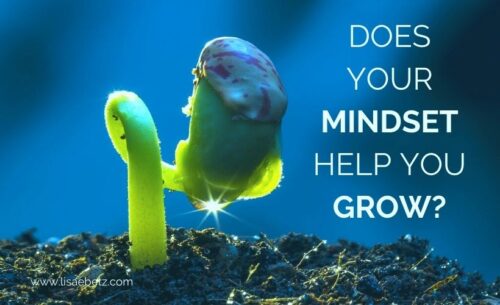 Growth-mindset - Lisa E Betz