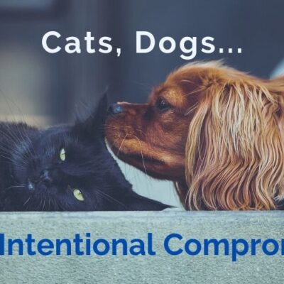 Cats, dogs, and intentional compromises