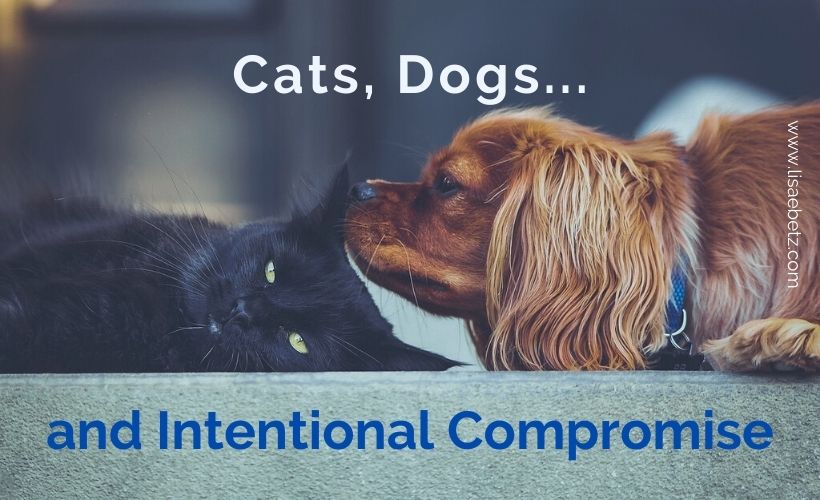 Cats, Dogs, and Intentional Compromises