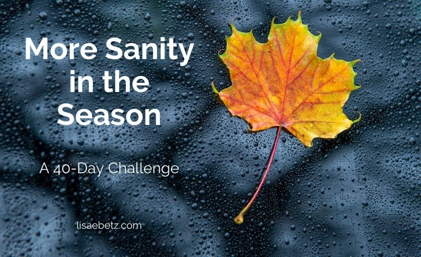 My 40-Day More Sanity in the Season Challenge