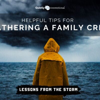 lessons from the storm. weathering a family crisis