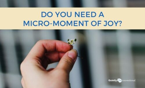 Do you need a micro-moment of joy?