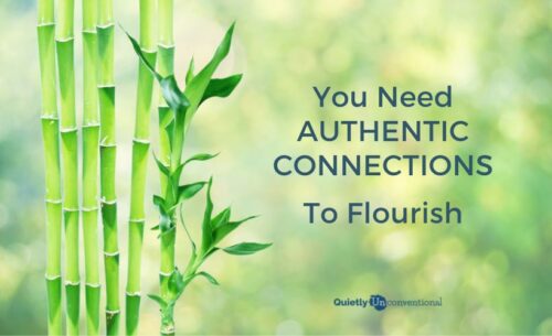 you need authentic connections to flourish