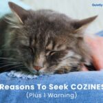 3 reasons to seek coziness