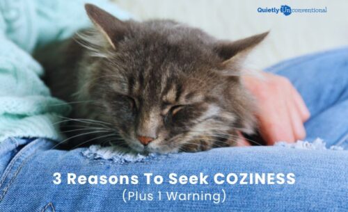 3 reasons to seek coziness