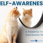 Self-awareness: a powerful trait of successful people