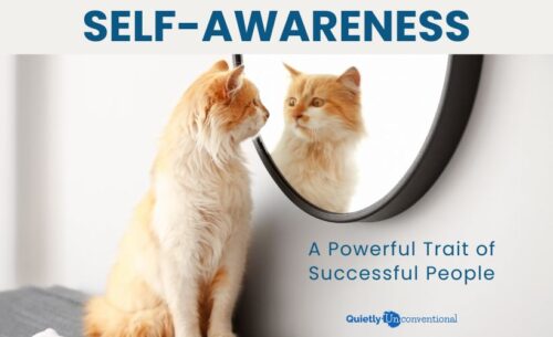 Self-awareness: a powerful trait of successful people