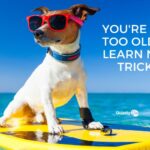 You're not too old to learn new tricks