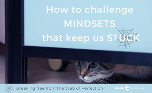 how to challenge mindsets that keep us stuck in the web of perfection